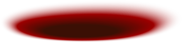 coinbag shadow